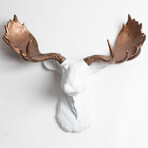 62e78472720773103ebc7bf899ce6d3b small