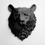 00c477fd6d28d2b4a9dbbd57f7933206 small