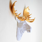 The Edmonton XL Moose Wall Sculpture (White/White)