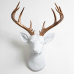 6a58fc248ec24aa87785175328d42f84 small