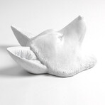 The Sylvester Fox Wall Sculpture (Black/Black)