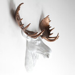 The Edmonton XL Moose Wall Sculpture (White/White)