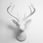 3f1bfedd9ebe09f3b08af081e7e0665b small