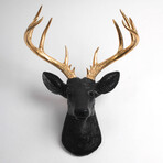 8cd6c5b32e63c60264aeaafd90c91178 small