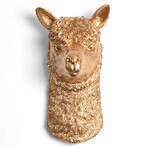 Cd72bb05fba21d1f90351a6c8f2c8dd7 small