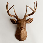 2a8ef30e70af5a2f8f018698d0fe6e1b small