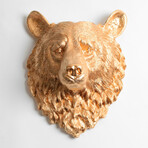 34fb02b13666a5e8fcde0b0253bea832 small