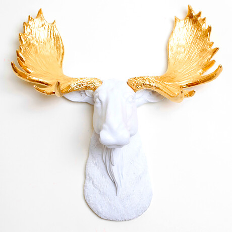 The Edmonton Mini Moose Wall Sculpture (Black/Black)