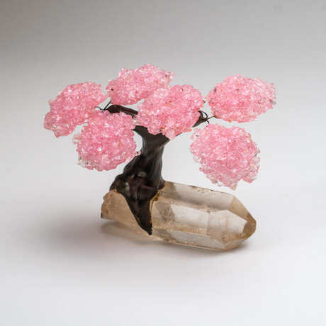 The Tree of Light // Genuine Rose Quartz Clustered Gemstone Tree + Clear Quartz Crystal Matrix // Small