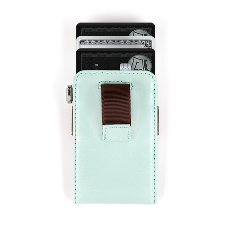 Mini 2.0 Wallet // Mint