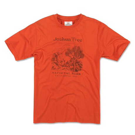 Joshua Tree National Park Vintage Fade Tee // Potters Clay (S)