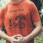 Joshua Tree National Park Vintage Fade Tee // Potters Clay (2XL)