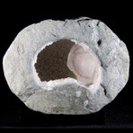 Hematite Phantom Calcite Crystal within a Basalt Geode // Ver. 1