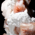 Rare Red Apophyllite with Stilbite on Chalcedony