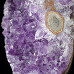 Natural Crystal Amethyst Geode + Iron Display Stand // Medium // Ver. 1