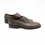 Men's AK55 Shoes // Brown (Euro: 39)