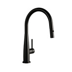 Multifunction Kitchen Sink Faucet + Pull Out Spray Head (Polished Chrome)