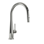 Multifunction Kitchen Sink Faucet + Pull Out Spray Head (Polished Chrome)