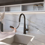 Multifunction Kitchen Sink Faucet + Pull Out Spray Head (Polished Chrome)