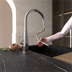 Multifunction Kitchen Sink Faucet + Pull Out Spray Head (Polished Chrome)