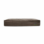 Affinity Pillow Top Hybrid Orthopedic Dog Bed // Medium (Champagne Beige)