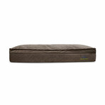 Affinity Pillow Top Hybrid Orthopedic Dog Bed // Large (Champagne Beige)