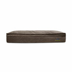 Affinity Pillow Top Hybrid Orthopedic Dog Bed // X-Large (Champagne Beige)