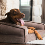 Crown Supreme Memory Foam Dog Bed // Large (Champagne Beige)