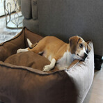 Oasis Plush Pillow Dog Bed // X-Large (Champagne Beige)