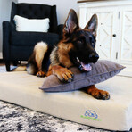 Comfort Deluxe Memory Foam Dog Bed // X-Large (Champagne Beige)