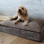 Affinity Pillow Top Hybrid Orthopedic Dog Bed // Super XL (Champagne Beige)