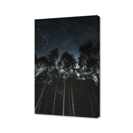 Starry Night (8"H x 12"W x 0.75"D)