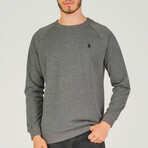 Gustavo Sweatshirt // Anthracite (Small)