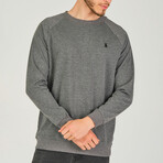 Gustavo Sweatshirt // Anthracite (Small)