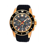 Pulsar Quartz // PT3134X1