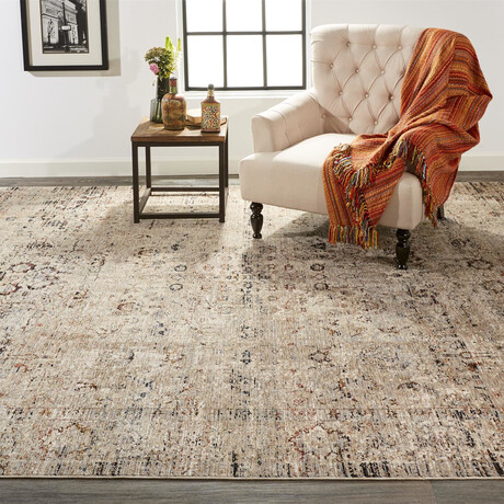 Ennis Space Dyed Ornamental (2' x 3'4" Accent Rug)