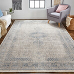 Gilford Rustic Persian Farmhouse (2' x 3' Accent Rug)