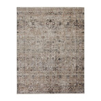 Ennis Space Dyed Ornamental (2' x 3'4" Accent Rug)