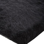 Freya Plush Shag // Black (2' x 3'4" Accent Rug)