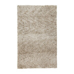 Gendry Stonewashed Mélange Shag // Latte + Tan (5' x 8' Area Rug)