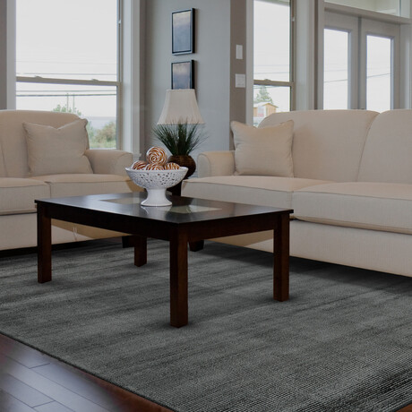 Knox Plush Viscose Hand Loomed // Charcoal Gray (2' x 3' Accent Rug)