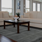 Knox Plush Viscose Hand Loomed // Charcoal Gray (2' x 3' Accent Rug)