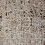 Ennis Space Dyed Ornamental (2' x 3'4" Accent Rug)
