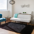 Freya Plush Shag // Black (2' x 3'4" Accent Rug)