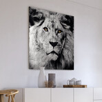 King of the Jungle // Reverse Printed Tempered Glass with Silver Leaf