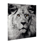 King of the Jungle // Reverse Printed Tempered Glass with Silver Leaf