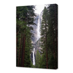 Cedars & Falls (12"H x 8"W x 0.75"D)