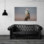 Middle Spotted Woodpecker 1 (8"H x 12"W x 0.75"D)