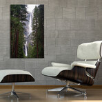 Cedars & Falls (12"H x 8"W x 0.75"D)