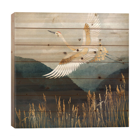 Elegant Flight // SpaceFrog Designs (26"H x 26"W x 1.5"D)